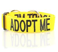 Adopt ME - Collar de Perro con código de Color Amarillo para Evitar Accidentes al Advertir a Otros de tu Perro con antelación