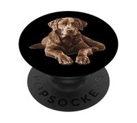 Adorable Chesapeake Bay Retriever - Lindo Perro Chessie Simple PopSockets PopGrip Adhesivo