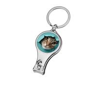 Adorable cortaúñas de gato mirando desde un agujero, cortaúñas profesional para mujeres y hombres
