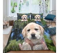 Adorable Labrador Funda Edredon Juego de Ropa de Cama de 3 Piezas Impresión 3D Cierre de Adorable Labrador Estilo Funda de Edredón Funda de Almohada a Juego for Adolescentes Double（200x200cm）