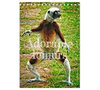 Adorable lemurs (Desk Calendar 2026 DIN A5 portrait), CALVENDO 12 Month DeskCalendar: Madagascar is the exclusive and endemic home of lemurs