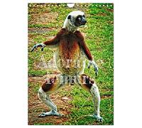 Adorable lemurs (Wall Calendar 2026 DIN A4 portrait), CALVENDO 12 Month Wall Calendar: Madagascar is the exclusive and endemic home of lemurs