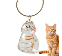 Adorable mini botella de recuerdo transparente para almacenamiento de de mascotas, contenedor de memoria portátil para coche, viajes, hogar o uso conmemorativo al aire libre, regalo pensado para