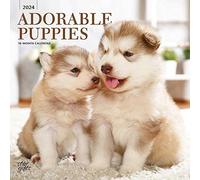 ADORABLE PUPPIES 2024 SQUARE STKR STARGI