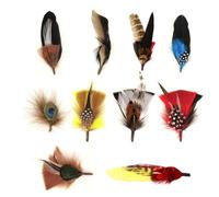Adorila Paquete de 10 plumas de sombrero, plumas pequeñas para sombreros de vaquero, plumas naturales coloridas para manualidades, accesorios de decoración