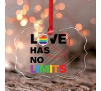 Adorno colgante de ventana de acrílico manchado Love Has No Limits, adorno para colgar en la ventana, lesbiana, gay, bisexual, transgénero, asexual, bisexual, no binario, lesbiana, transgénero