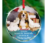 Adorno De Cerámica Fuiste Mi Hola Favorito Y Mi Adiós Más Difícil Adornos Colgantes De Cerámica Personalizado Adornos Colgantes De Navidads para Vacaciones Regalo Fiestas 7.3 Cm