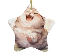 Adorno de estrella colgante de cerámica para árbol de Navidad, diseño de gato gordo animado que puede añadir un toque romántico a festivales o fiestas