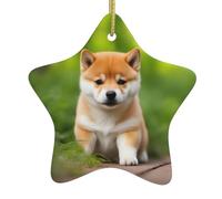 Adorno de estrella colgante de cerámica para árbol de Navidad HJFCZH lindo perro Shiba Inu impresión con cordón de metal perforado y chapado en oro