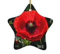 Adorno de estrella colgante de cerámica para árbol de Navidad, una hermosa imagen de amapola roja que puede añadir un toque romántico WHJSSF festivales o fiestas