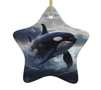 Adorno de estrella colgante de cerámica para árbol de Navidad, WHJSSF Orca Killer Whale Picture puede añadir un toque romántico a festivales o fiestas