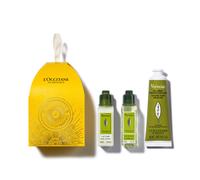 Adorno de Navidad Verbena 3qt - L'Occitane en Provence