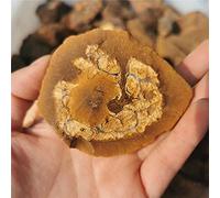 Adorno de piedras preciosas en bruto Espécimen de piedra de ópalo natural en bruto Piedras ornamentales y minerales Regalos de mineral de enseñanza ction-950-1000g_