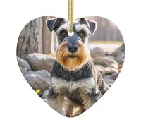 Adornos de Navidad 2025 con forma de corazón de cerámica para colgar, recuerdo personalizado, lindo perro schnauzer, adornos de Navidad para árbol de Navidad, fiestas, vacaciones, cumpleaños, regalos