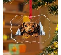 Adornos de Navidad acrílicos de 3 pulgadas 2025 con diseño de perro salchicha para colgar, adornos de Navidad, decoración de fiesta, decoración abstracta de mascotas, cachorros, recuerdo, disco