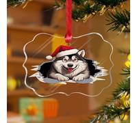 Adornos de Navidad acrílicos de 3 pulgadas 2025 Peeking Alaskan Malamute Adornos colgantes personalizados, adornos para decoración de vacaciones, cachorros, primer recuerdo de Navidad, disco