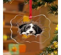 Adornos de Navidad acrílicos de 3 pulgadas 2025 Peeking Bearded Collie Rústico Adorno de árbol de Navidad Decoración de fiesta de Navidad Arte 3D Retrato Mascota Perros Recuerdo Disco Transparente