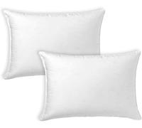 Adri. 2 Relleno para Cojines de Fibra Hueca Siliconada de Alta Recuperación 2/4/6 Unidades, Suave, Mullido, Antialérgico. Cojín Decorativo para Casa, Dormitorio, Salón o Coche (50 x 30 cm, 2)