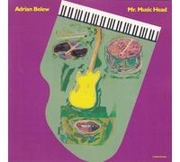 Adrian Belew - Mr Music Head