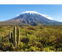 adrium Cuadro acrílico 130 x 100 cm: El Misti Vulcano en medio de nubes, uno de los mejores volcanes cerca de Arequipa City en Perú (169234992)