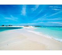 adrium Cuadro de aluminio compuesto de 50 x 40 cm: una playa tropical blanca en Cayo de Agua (Los Roques Archipelago, Venezuela) (93242063)