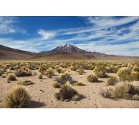 adrium Cuadro de aluminio compuesto de 80 x 50 cm: fantásticos paisajes pintorescos del norte de Chile, desierto de Atacama, hermosos paisajes naturales inspiradores (249746704)