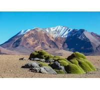 adrium Cuadro de aluminio compuesto de 90 x 60 cm: fantásticos paisajes pintorescos del norte de Chile, desierto de Atacama, hermosos paisajes naturales inspiradores (249659336)