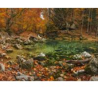 adrium Cuadro de madera de 50 x 40 cm: lago en cañón otoñal. Hermoso paisaje natural en otoño (47667270)