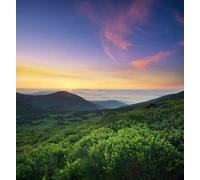 adrium Cuadro de madera de 70 x 80 cm: hierba en el campo de montaña al amanecer, hermoso paisaje natural en verano (66533084)