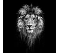 adrium Imagen de madera 90 x 90 cm: retrato de un hermoso león, león en la oscuridad, pinturas al óleo.(178131061)