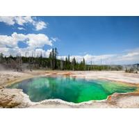 adrium Póster (80 x 50 cm), diseño de la cuenca del geyser del oeste en el Parque Nacional Yellowstone (15219610)