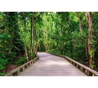 adrium Póster de 60 x 40 cm: sendero de madera y sendero en la selva tropical - cerca de Lio Beach, El Nido, Palawan, Filipinas (139901647)