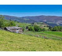 adrium Póster de 90 x 70 cm: prados y casa en el pueblo de Loujedo, municipio de San Martín de Oscos, Asturias, España