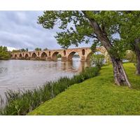 adrium Póster de 90 x 70 cm: Río Duero en la ciudad de Zamora, Castilla y León, España, Europa