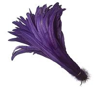 ADSUBHSJFAKK 20 plumas de cola de gallo natural de 16 a 18 pulgadas para actuaciones de escenario de boda y decoración de disfraces (morado)