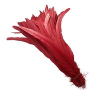 ADSUBHSJFAKK 50 plumas de cola de gallo natural de 12 a 14 pulgadas para actuaciones escénicas y decoración de disfraces (rojo)