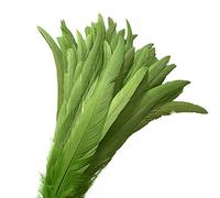 ADSUBHSJFAKK 50 plumas de cola de gallo natural de 12 a 14 pulgadas para actuaciones escénicas y decoración de disfraces (verde lima)