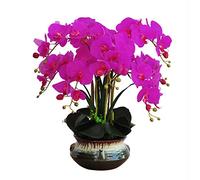 ADTUIUG Flores Artificiales de plástico, Flores De Orquídeas Phalaenopsis con Jarrón Arreglo Plantas En Maceta Falsas(Purple)