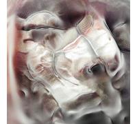 Adult Jazz - Earrings Off [Vinilo]