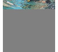 Adult Kick Board Swim Trainer - Pool Fitness Equipment, Lightweight Durable Foam Training Stool | Ergonomic Upper Body Swimming Aid | Teenagers Adults Family Home Indoor Outdoor Pool Lake Beach Water