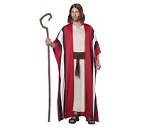 Adult Moses Fancy dress costume Large/X-Large
