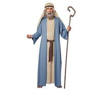 Adult Noah Fancy dress costume Small/Medium