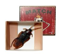 Adult Pranks, Funny Realistic Snake, Trick Prank Item, Scare Entertainment Value, Party Decoration Function Novelty Activity Accessory for Office School Home Versatile Use