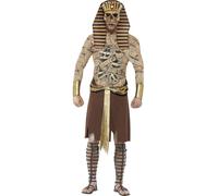 Adulto Zombie Faraón Disfraz para Hombre Egipcio Halloween Momia Disfraz M, L