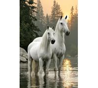 Adultos Diamond Painting Taladro Completo 5D DIY Arts Kits Caballo Al Atardecer En El Río Imagen Rhinestone Bordado Diamante Pintura Pintura Para Decoración Pared Hogar Taladro Cuadrado 20x30cm B1886