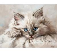 Adultos y Principiantes Diamond Painting Taladro Completo 5D DIY Arts Kits Lindo Gatito Imagen Rhinestone Bordado Diamante Pintura Pintura Para Decoración Pared Hogar Taladro Redondo 100x130cm AE1129
