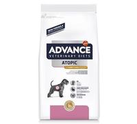 Advance Atopic Rabbit