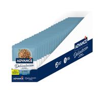Advance Delicatessen - Alimento húmedo para gato adulto - Pavo - Cantidad: 24 x 85 g