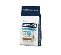 Advance Labrador & Golden Retriever - Pienso para perros adultos de raza - Pollo y arroz - Cantidad: 11,5 kg