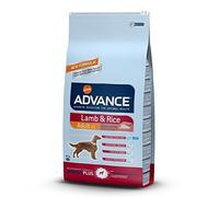 Advance Medium Senior 12 kg